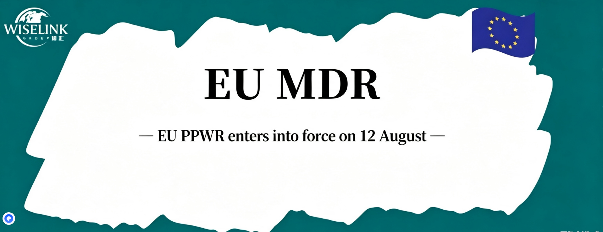 EU PPWR to Enter into Force on 12 August – Is Your Packaging Compliant?